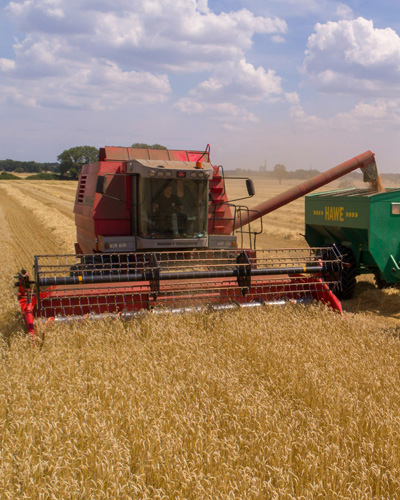 Roter Feldhäcksler beim entladen seiner ernte in einen grünen Laster