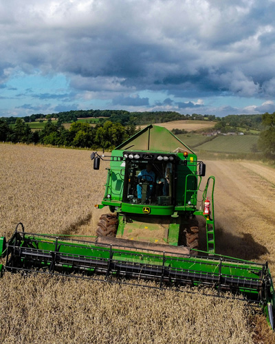 Grüner Mähdrescher auf einem großen Feld Weizen